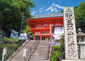 まるごと2尾使用!和歌山県産伊勢海老尽くしフルコース3